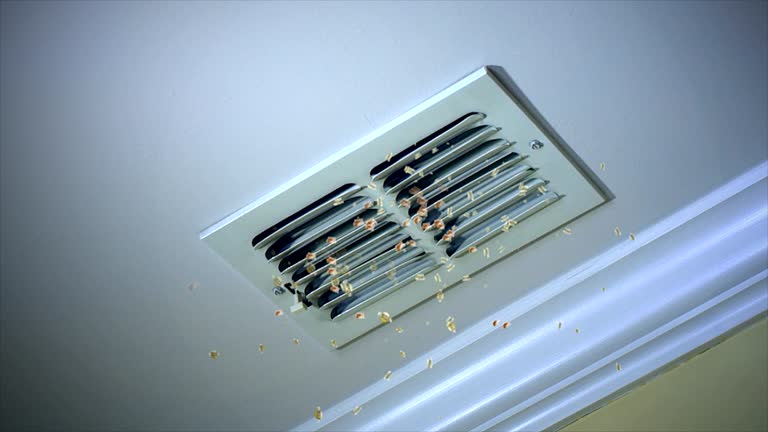 Best Affordable Air Duct Cleaning  in Frazier Park, CA