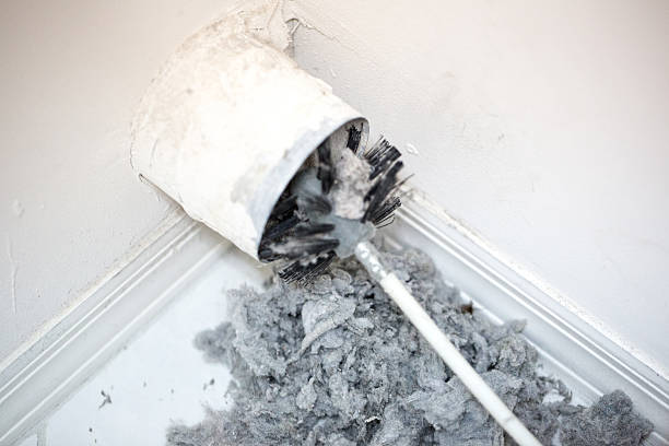 Best Air Duct Mold Removal  in Frazier Park, CA